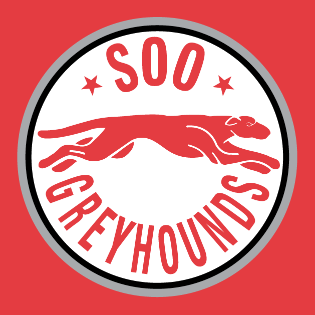 Sault Ste. Marie Greyhounds 1998-2009 alternate logo iron on transfers for clothing